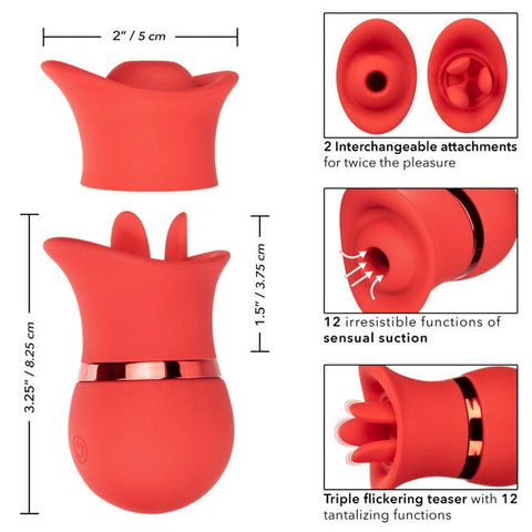 Suck & Play Interchangeable Clit Vibrator Set - Clit Ticklers and Pulsators