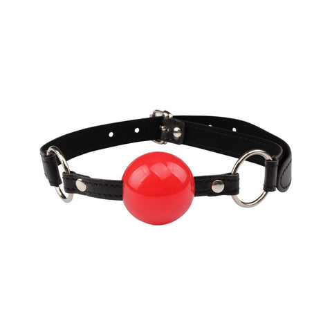 Dominate Tonight S & M Bondage Kit by Chisa - Bondage Kits