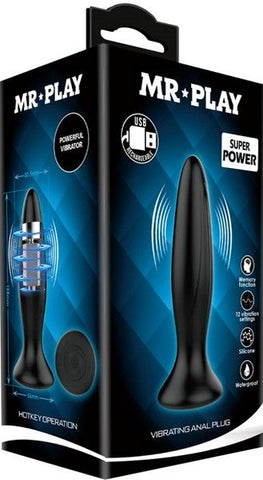 Vibrating Anal Plug by Baile - Butt Plugs