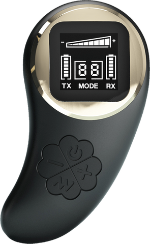 Rechargeable Remote Nathan Vibrator by Baile - G-Spot Vibrators
