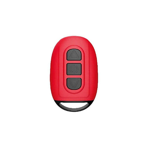 COUPLES CAGE Penis Cage with Wireless Remote - Male Chastity