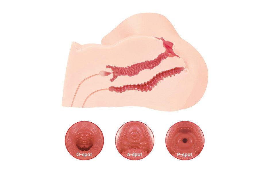 Kokos Maria Onahole 3 Realistic Pussy & Ass Male Stroker - Realistic Butts And Vaginas