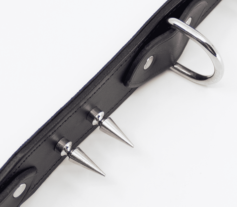 BDSM Collar With Long Spikes by Love In Leather - Collars and Leads