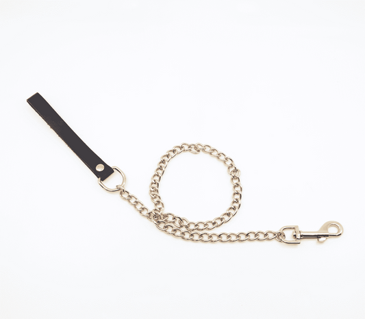 Love In Leather BDSM Chain Lead With Coloured Hardware