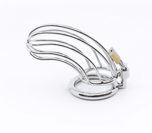 Love In Leather Zinc Alloy Bird Cage Chastity Device