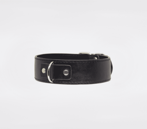 BDSM Play Unlined PU Collar and Lead by Berlin Baby - Collars and Leads