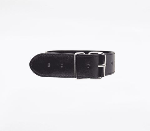 BDSM Play Unlined PU Collar and Lead by Berlin Baby - Collars and Leads