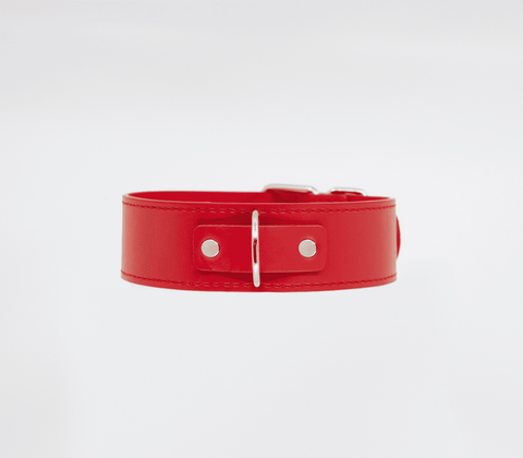 BDSM Play Unlined PU Collar and Lead by Berlin Baby - Collars and Leads