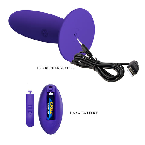 Pretty Love Remote Control Vibrating Butt Plug by Baile - Butt Plugs