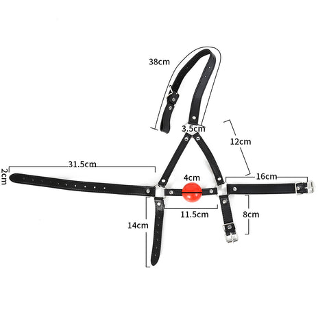 Ball Gag Head Harness Bondage Gag by BDStyle - Bondage Gags and Bits