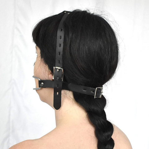 Hook Claw Mouth Spreader & Nose Hook by BDStyle - Bondage Gags and Bits