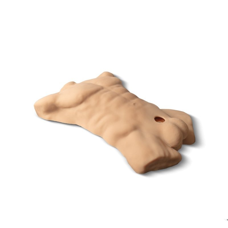 SilexD Apollo L Torso with 7in Dildo by Adrien Lastic - Realistic Butts And Vaginas
