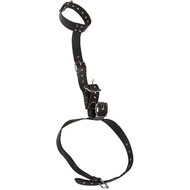 Bad Kitty Neck Restraint with Handcuffs by Orion - Cuffs And Restraints