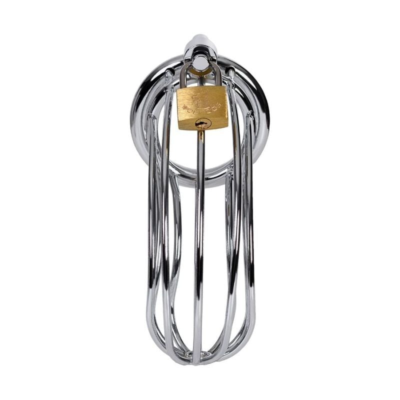 Metal Birdcage Cock Cage by ToyFa - Male Chastity