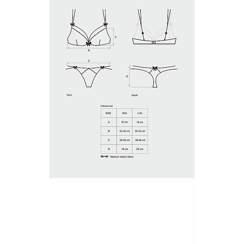 Intensa 2 Piece Womens Bra and Panty Set by Obsessive - Bras and Bra Sets