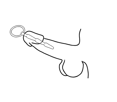 Solid Ridged Penis Plug With Ring by Love In Leather - Urethral Sounds