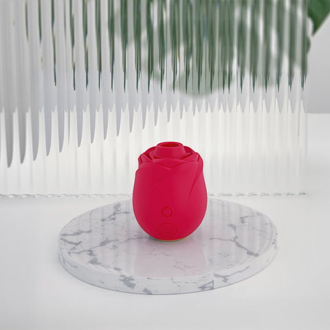 Womanizer Pleasure Air Clit Vibrator by Lovehoney - Clit Ticklers and Pulsators