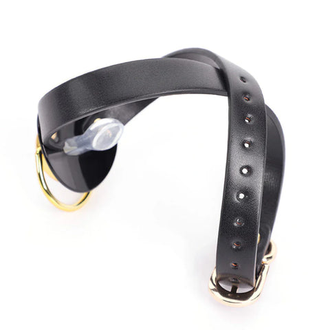 Pacifier Mouth Gag With Nipple Clamp Clip by BDStyle - Breast and Nipple Toys